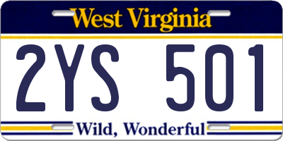 WV license plate 2YS501