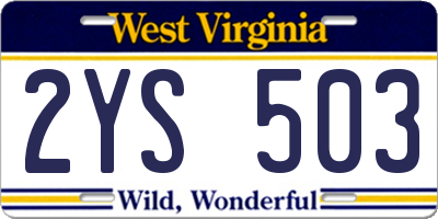 WV license plate 2YS503