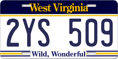 WV license plate 2YS509