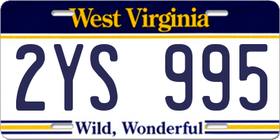 WV license plate 2YS995