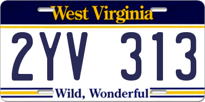 WV license plate 2YV313