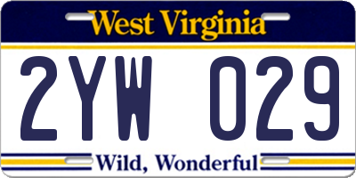 WV license plate 2YW029