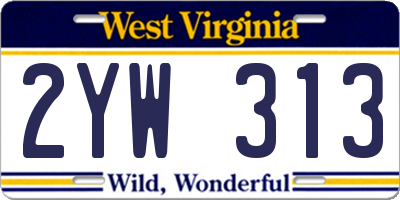 WV license plate 2YW313