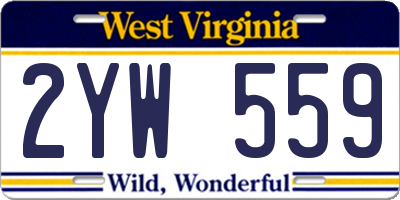 WV license plate 2YW559