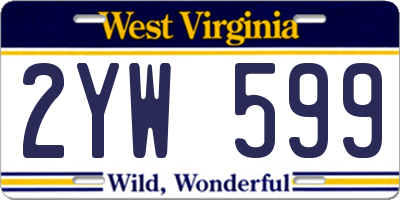 WV license plate 2YW599