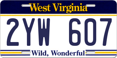 WV license plate 2YW607
