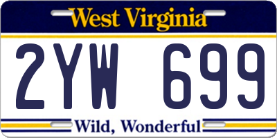 WV license plate 2YW699