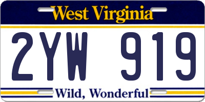 WV license plate 2YW919