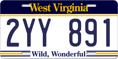 WV license plate 2YY891