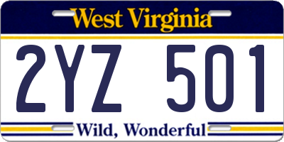WV license plate 2YZ501