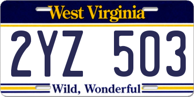 WV license plate 2YZ503
