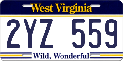 WV license plate 2YZ559