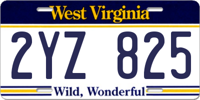 WV license plate 2YZ825