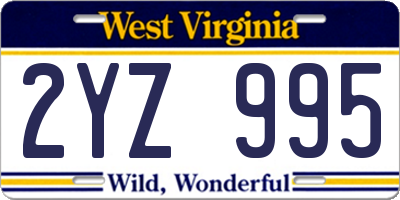 WV license plate 2YZ995
