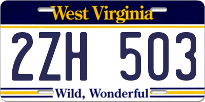 WV license plate 2ZH503