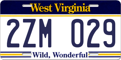 WV license plate 2ZM029