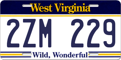 WV license plate 2ZM229