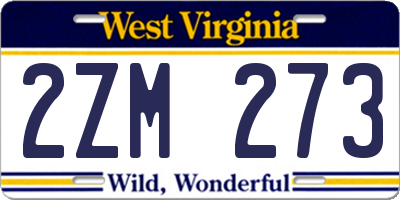 WV license plate 2ZM273