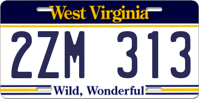 WV license plate 2ZM313