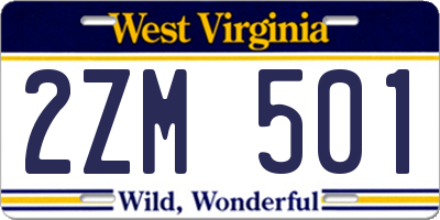 WV license plate 2ZM501
