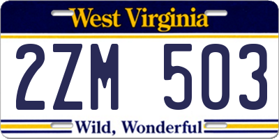 WV license plate 2ZM503