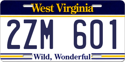 WV license plate 2ZM601