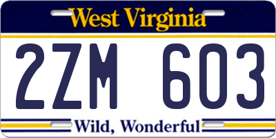 WV license plate 2ZM603