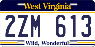 WV license plate 2ZM613