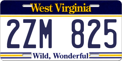 WV license plate 2ZM825