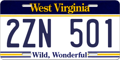 WV license plate 2ZN501