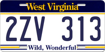 WV license plate 2ZV313