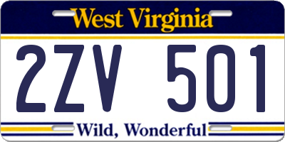 WV license plate 2ZV501