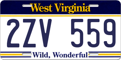 WV license plate 2ZV559