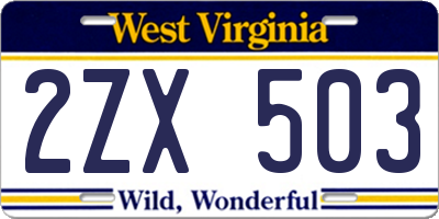 WV license plate 2ZX503