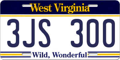 WV license plate 3JS300