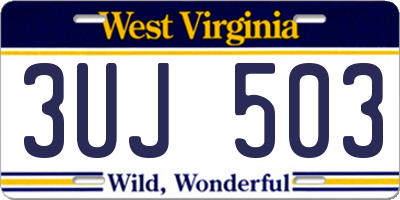 WV license plate 3UJ503