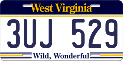 WV license plate 3UJ529