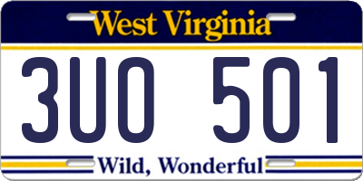 WV license plate 3UO501