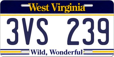 WV license plate 3VS239