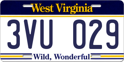 WV license plate 3VU029