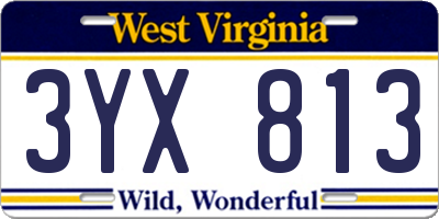 WV license plate 3YX813