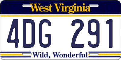WV license plate 4DG291
