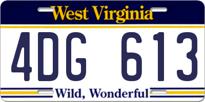 WV license plate 4DG613