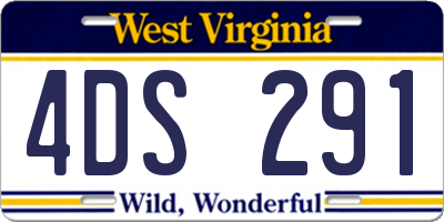 WV license plate 4DS291