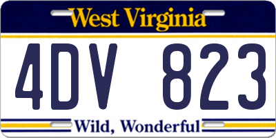 WV license plate 4DV823