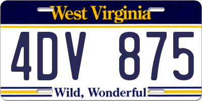 WV license plate 4DV875