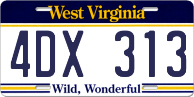 WV license plate 4DX313