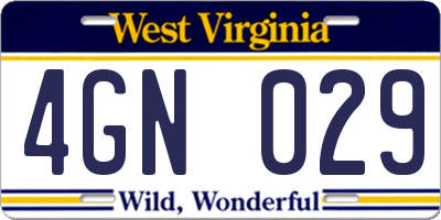 WV license plate 4GN029