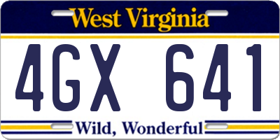 WV license plate 4GX641