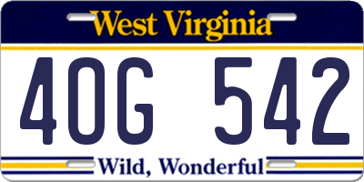 WV license plate 4OG542